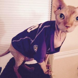 Meet your Posher, Betty